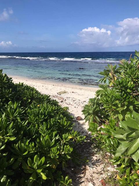 Moorea Temae Villa Walking Dist Beach And Golf 外观 照片